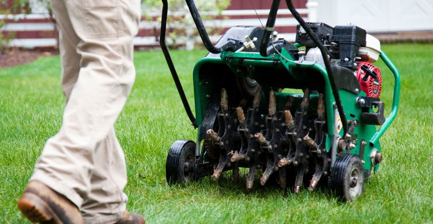 If your lawn looks thin, don’t just throw more fertilizer at it.
It might be compacted soil.
Aeration fixes what you can’t see 👇
greenlawndesign.com/best-time-to-a…
#LawnCare #Aeration #Indiana #CarmelIN