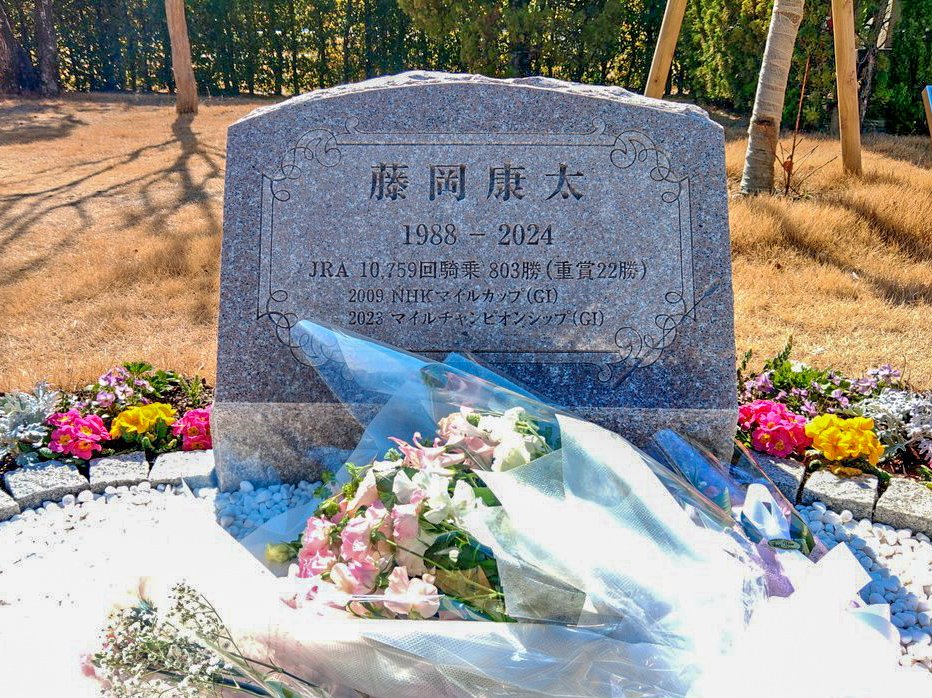 chihiro🐴 tweet media