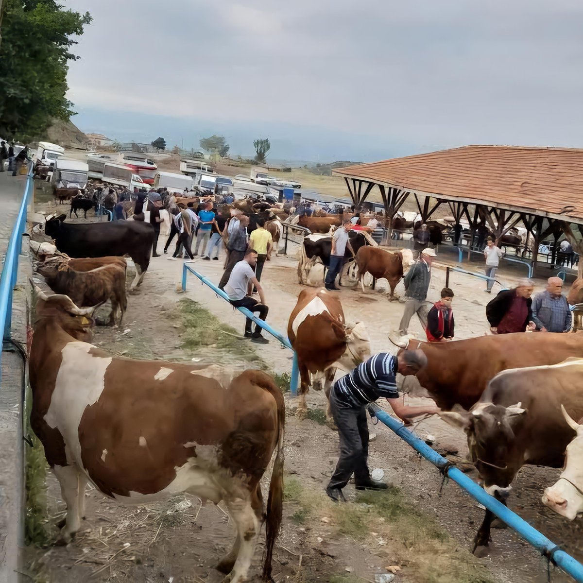 SİYAH SANCAK tweet media