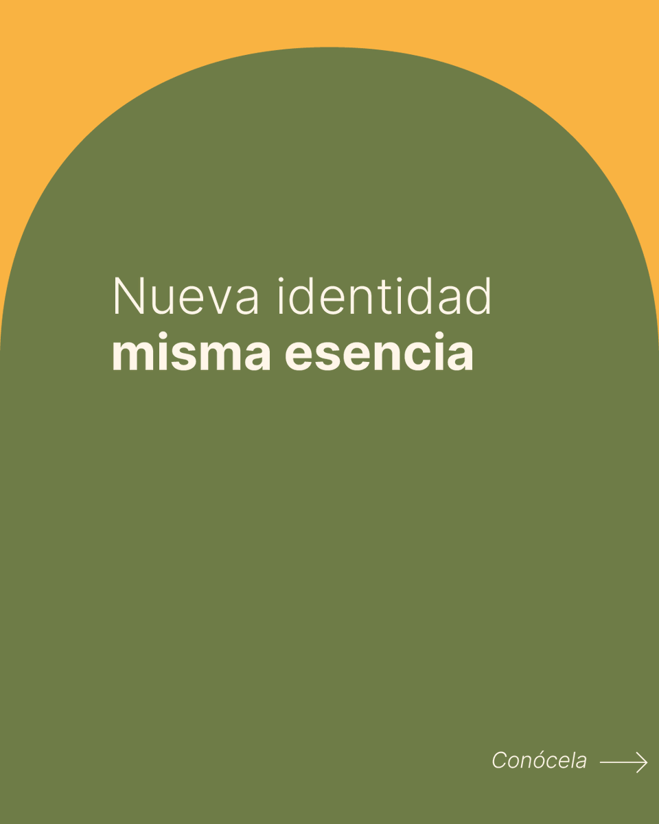 Campings de España tweet media