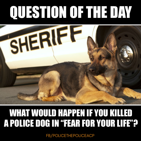 Police The Police 2.0 tweet media