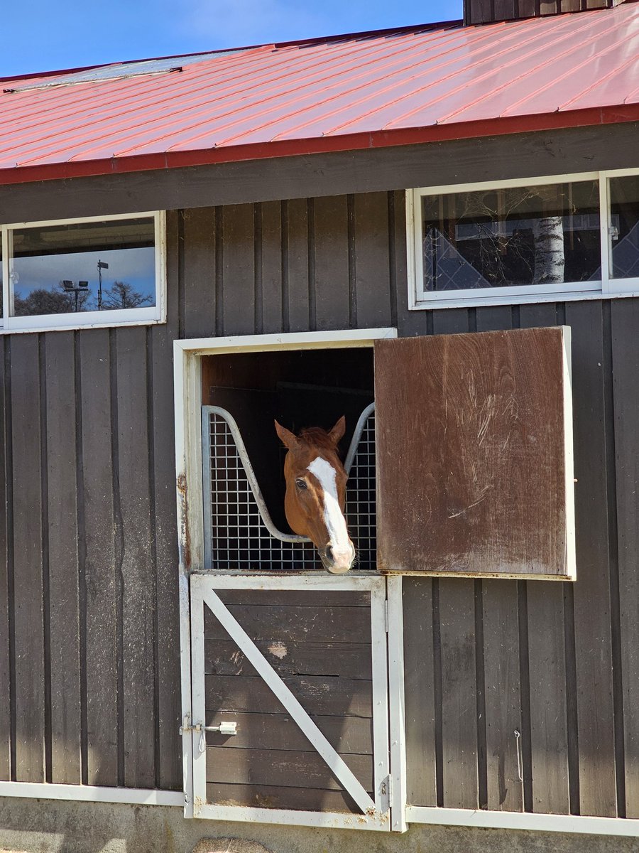 呆呆大统领 tweet media