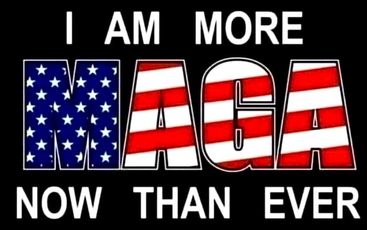 MAGA PATRIOT tweet media
