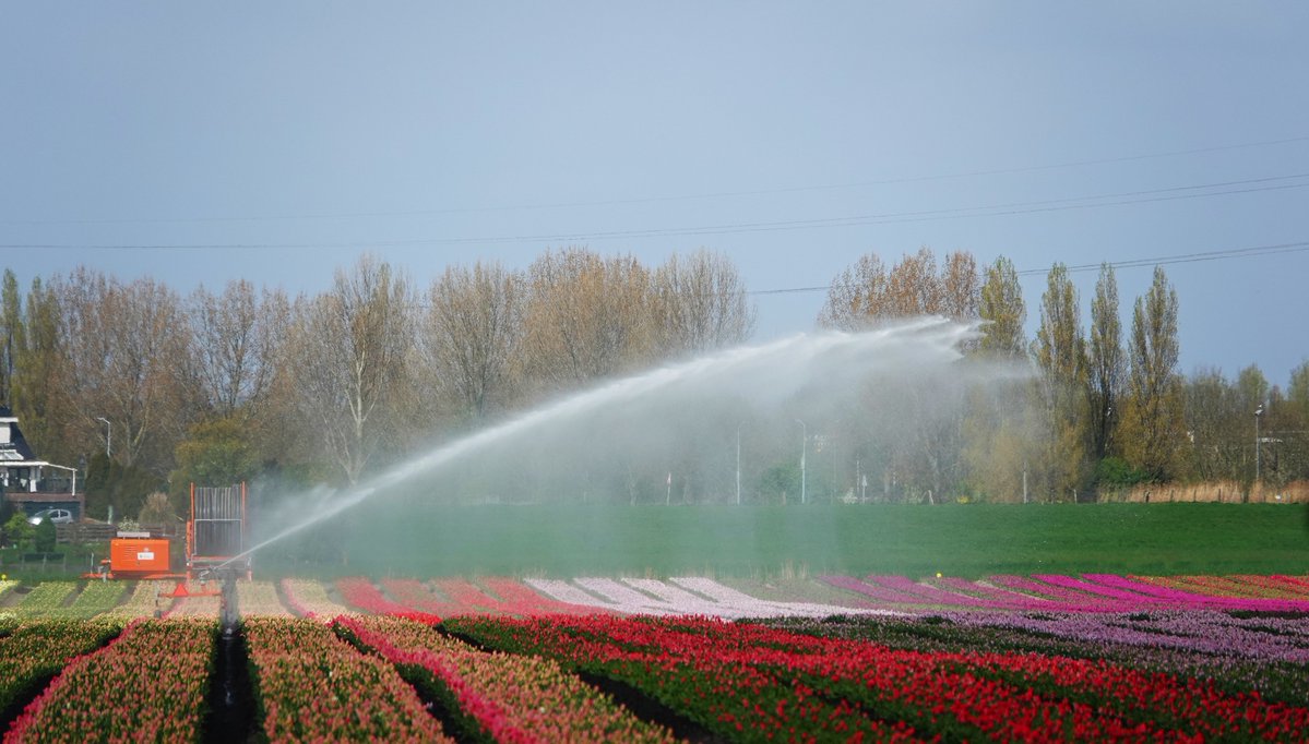 Ton Wesselius tweet media