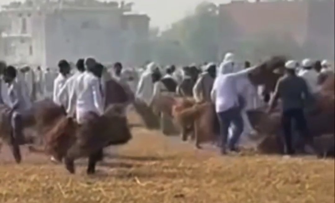 Amit Tomar tweet media