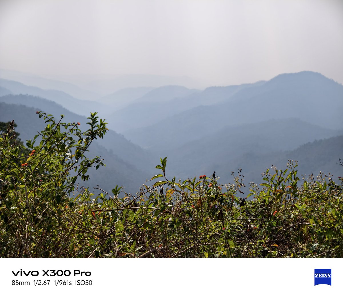 Aryan Gupta tweet media