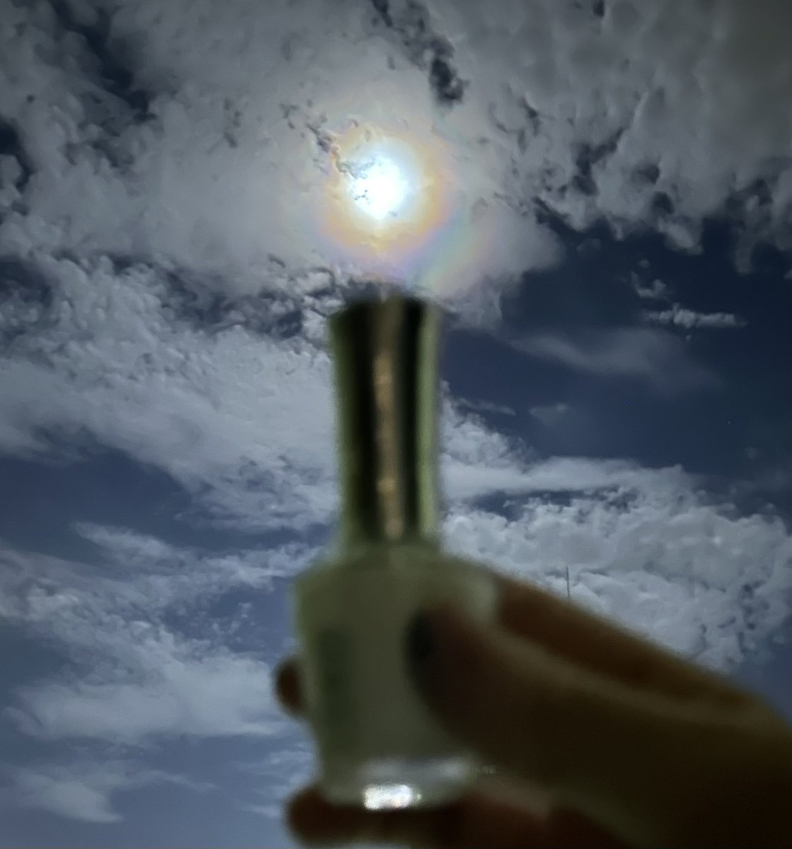 chikako adachi tweet media