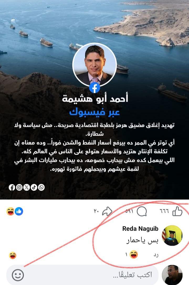 شاهيناز طاهر tweet media