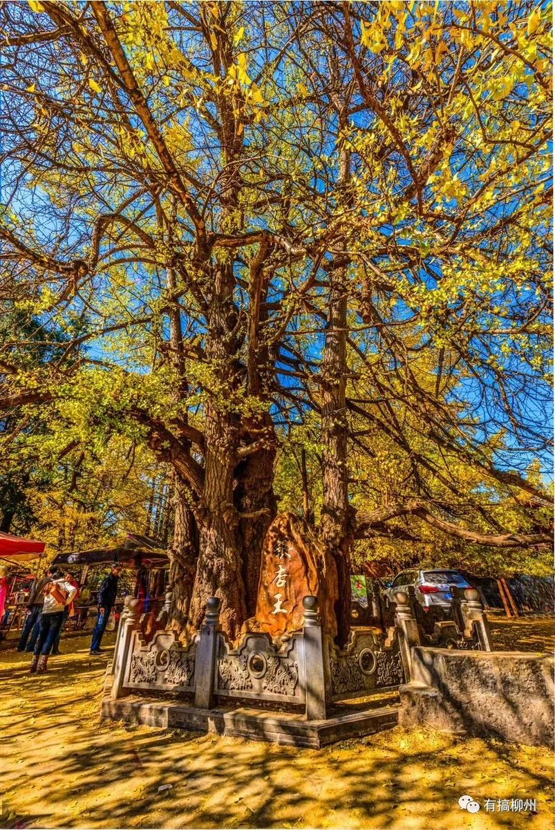 Kevin Hayter tweet media