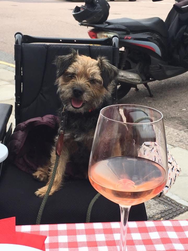 🌈 Molly🌈 Lord George (GMan) tweet media