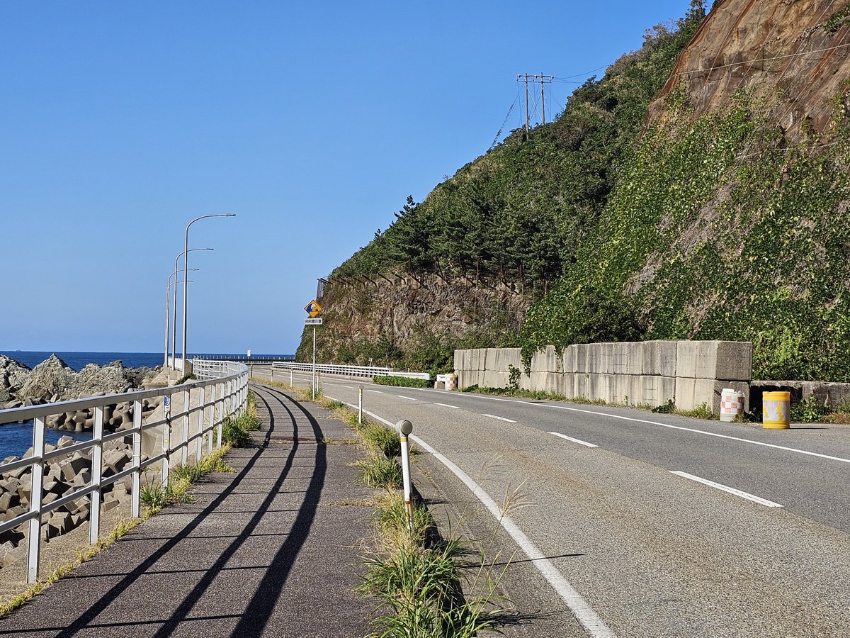 茶々丸 tweet media