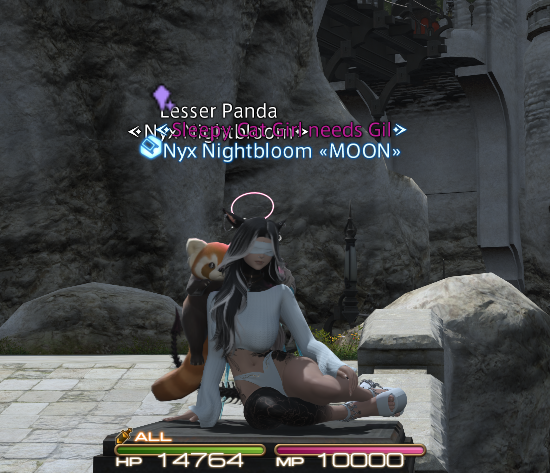 Nyx Nightbloom tweet media
