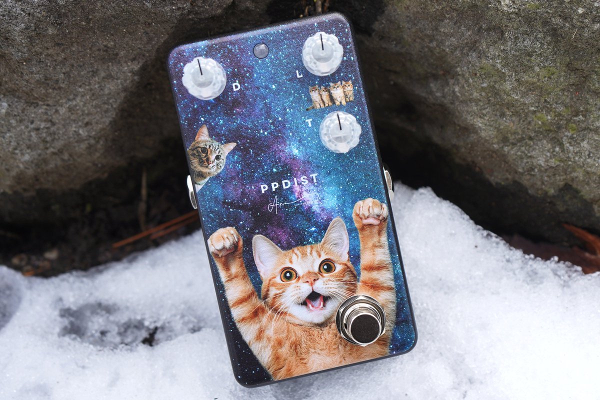 Animals🇺🇦Pedal tweet media