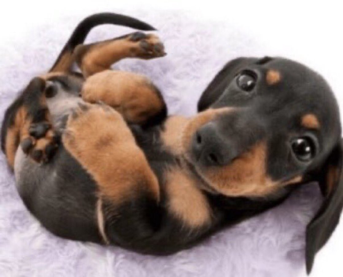 paulinho tweet media