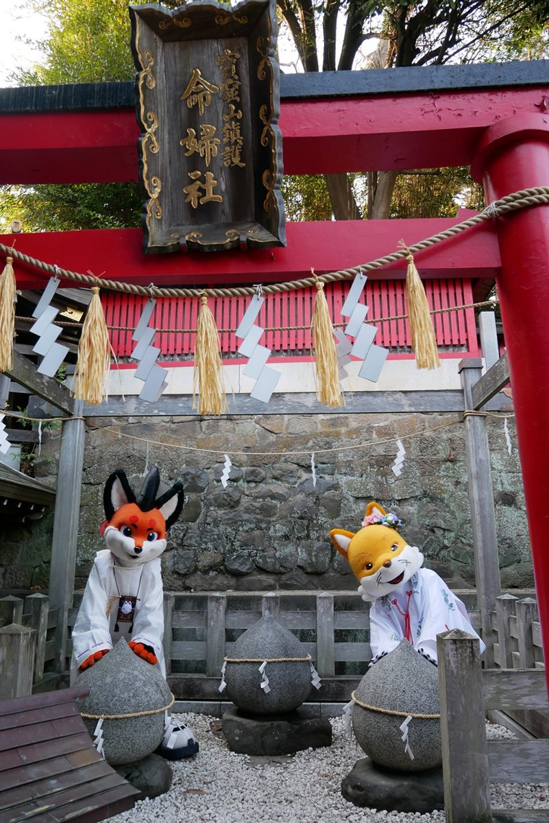 睦月🦊紺三郎 tweet media