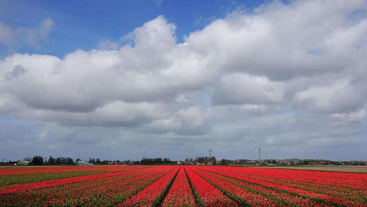 Ton Wesselius tweet media