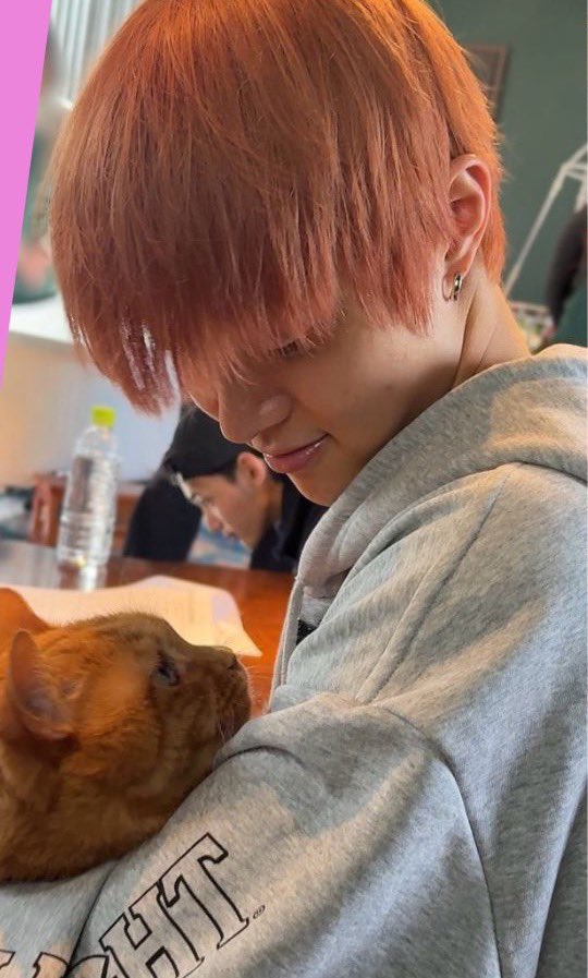 すぬぴ tweet media