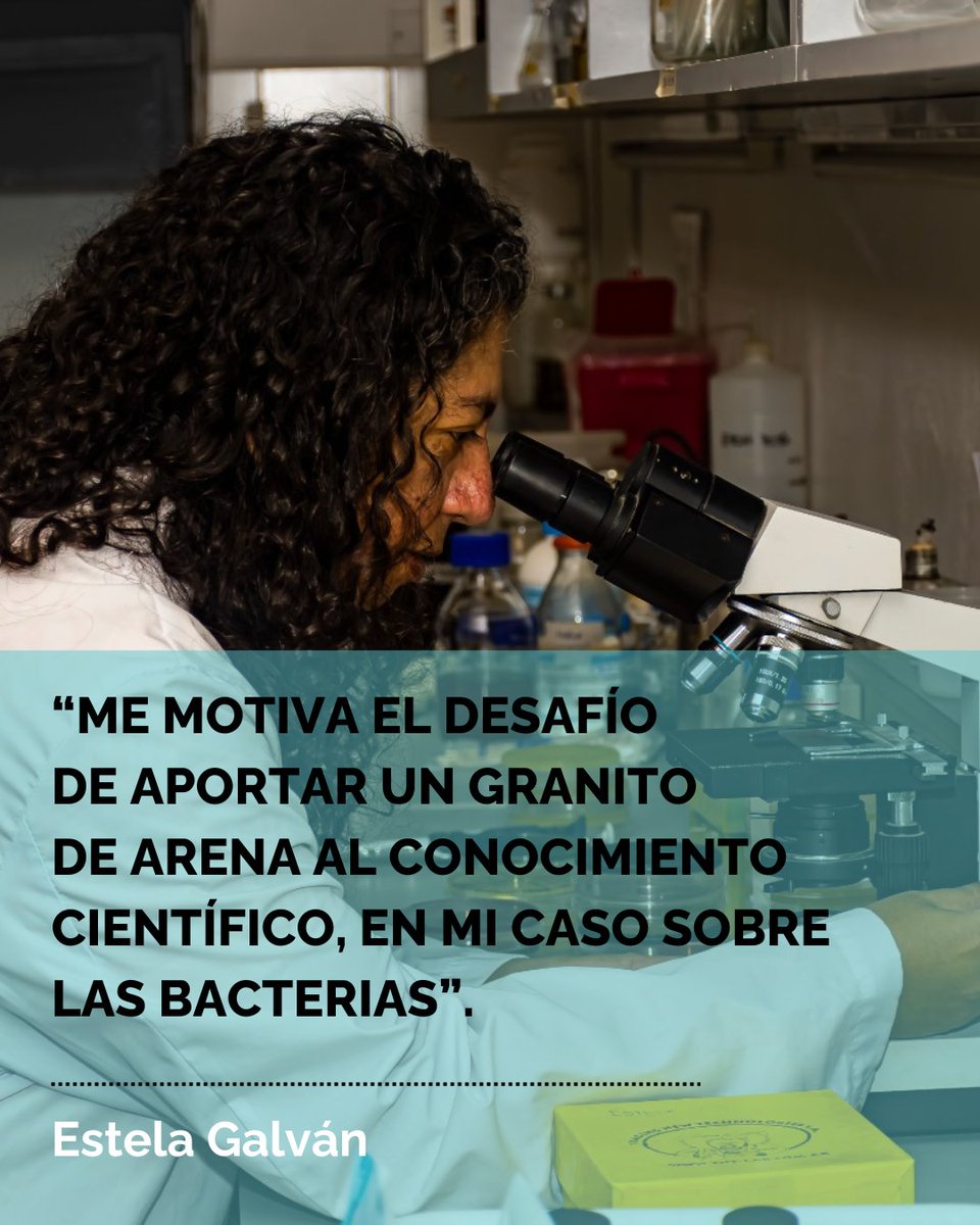 Sociedad Argentina de Microbiología General-SAMIGE tweet media