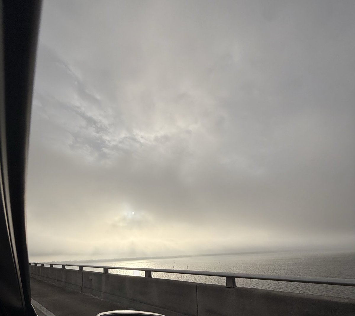 Peng 3160 🐧 🇺🇸 tweet media