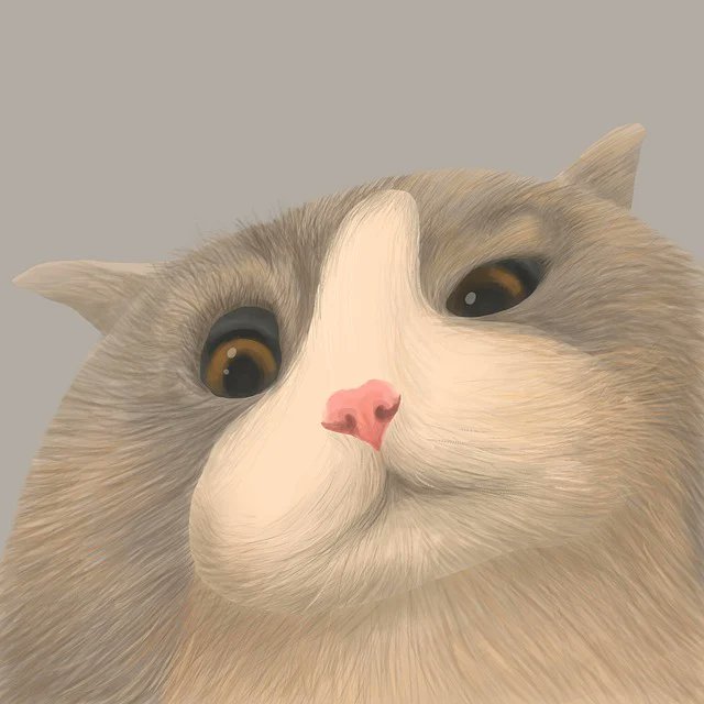 Lauren Thomas tweet media