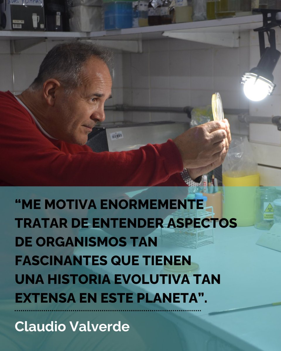 Sociedad Argentina de Microbiología General-SAMIGE tweet media