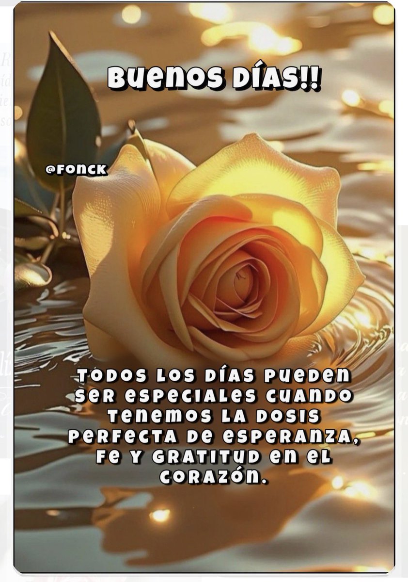 Celina Correa 🇵🇦 tweet media