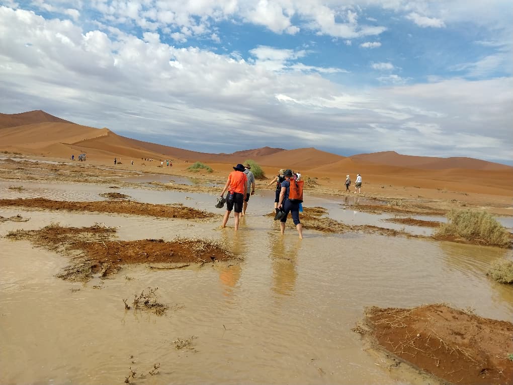 Gondwana-Lodges tweet media