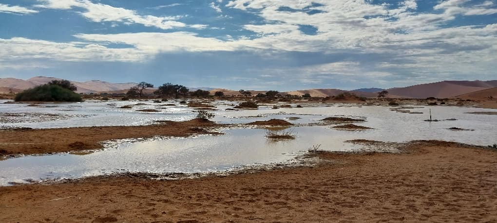 Gondwana-Lodges tweet media