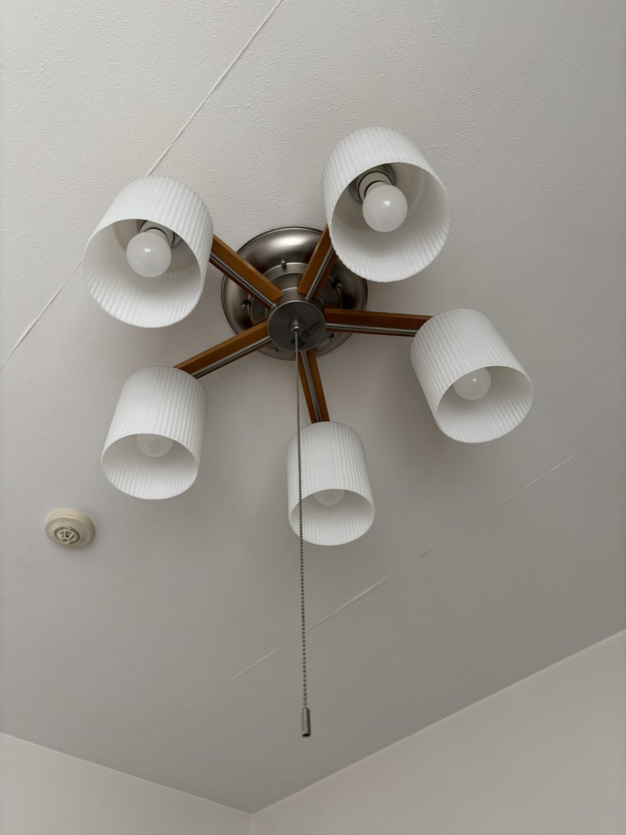 The ガンバるしゅうちゃん‼️消費税廃止‼️Official (Ver.2026) tweet media