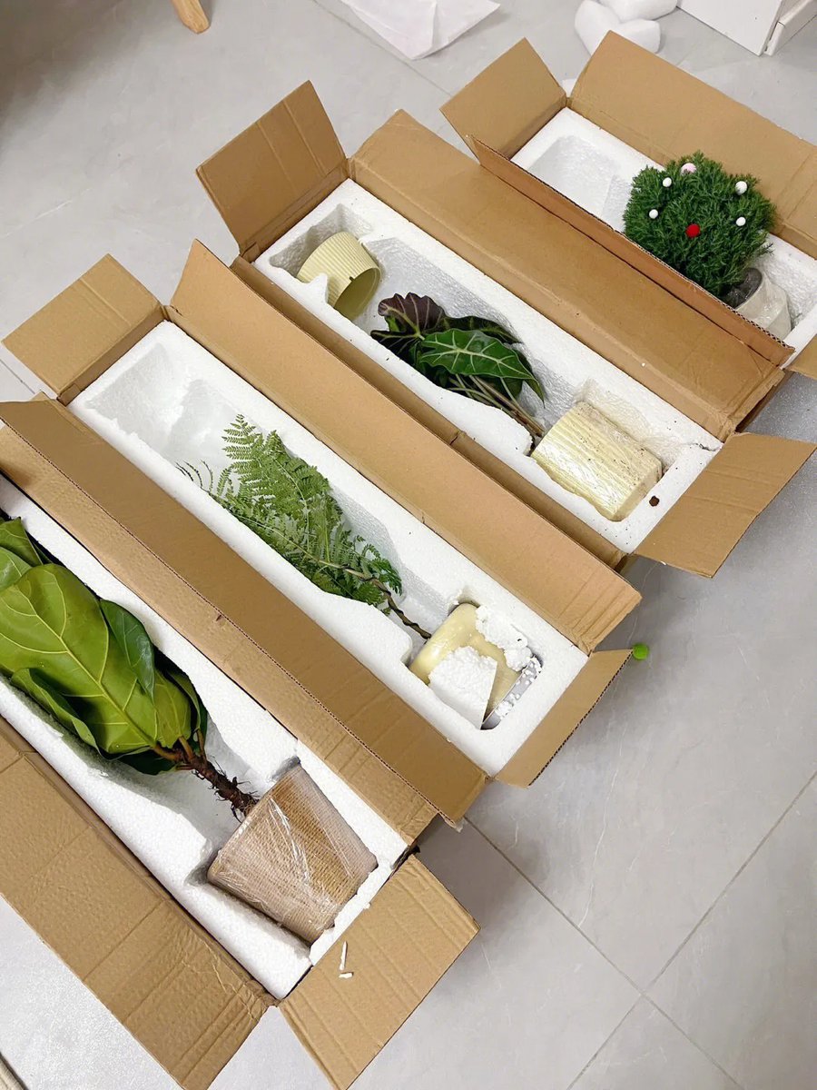 corinna   stump tweet media