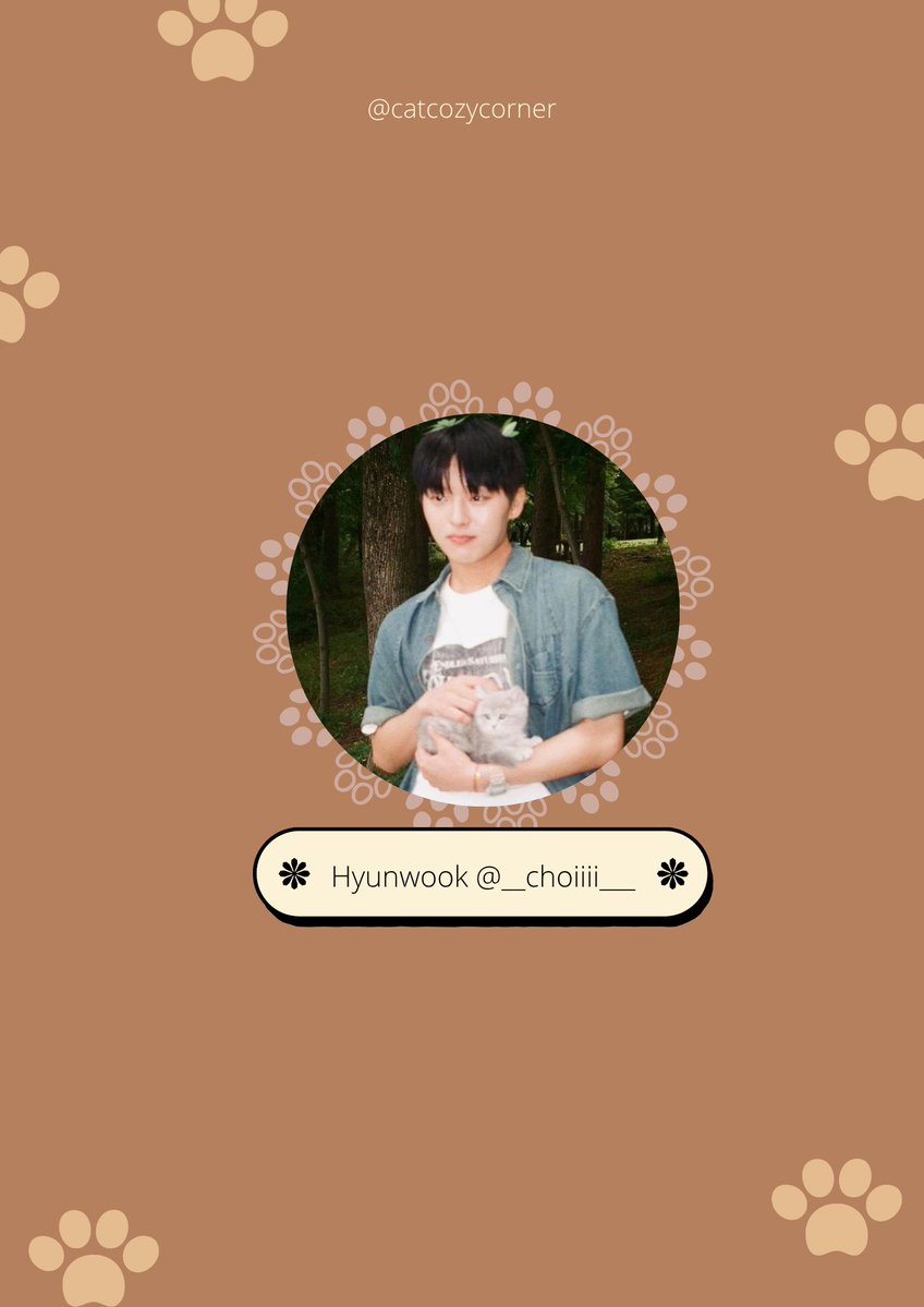 Catto🐾 tweet media