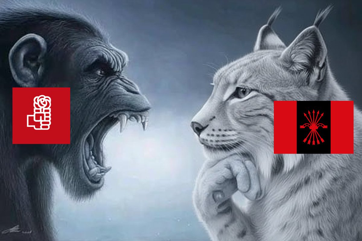 𝕸𝖊𝖑🌦️ tweet media