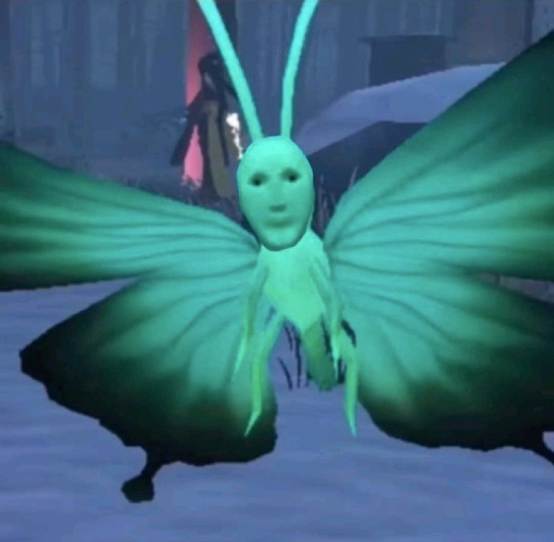 らいずﾁｬﾝ✌︎ʘ̅͜ʘ̅🫨⁉️👊👊👊👊👊 tweet media