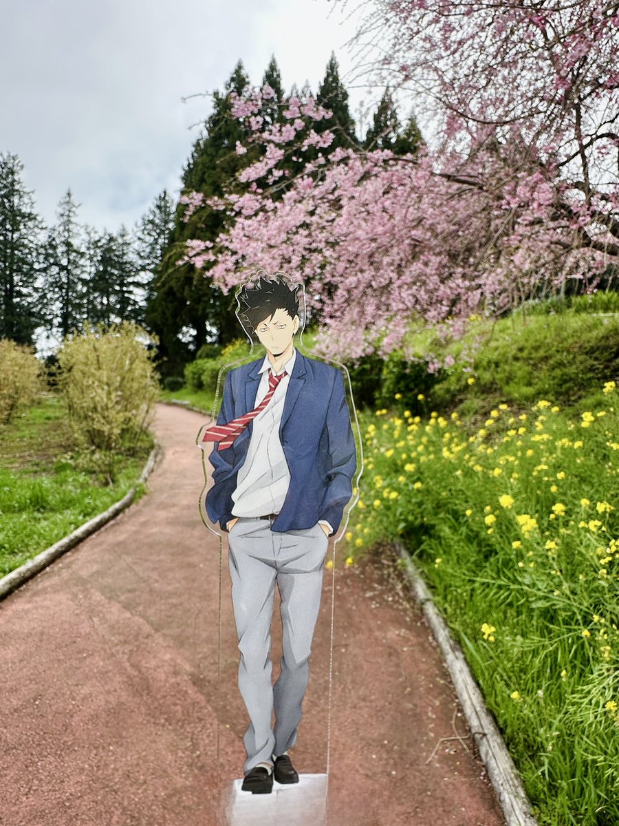 やすみ tweet media