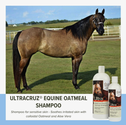 I love 𝑼𝒍𝒕𝒓𝒂𝑪𝒓𝒖𝒛® 𝑬𝒒𝒖𝒊𝒏𝒆 𝑶𝒂𝒕𝒎𝒆𝒂𝒍 𝑺𝒉𝒂𝒎𝒑𝒐𝒐. It's very gentle on my horse's coat, instead of stripping chemicals I feel like this nourishes the coat and leaves her very shiny. The fact that it is also a great cleaning shampoo surprised me! - Lisa #Equine