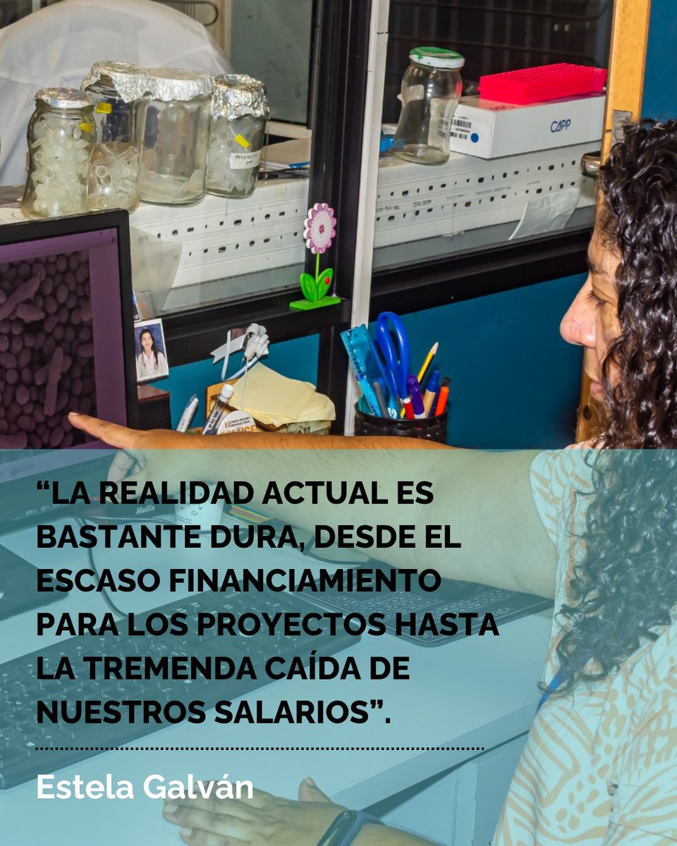 Sociedad Argentina de Microbiología General-SAMIGE tweet media