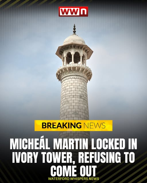 Mick Caul tweet media