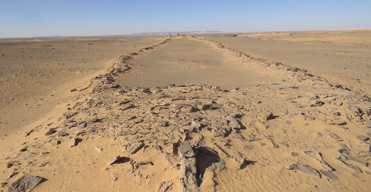 تـسـار tweet media