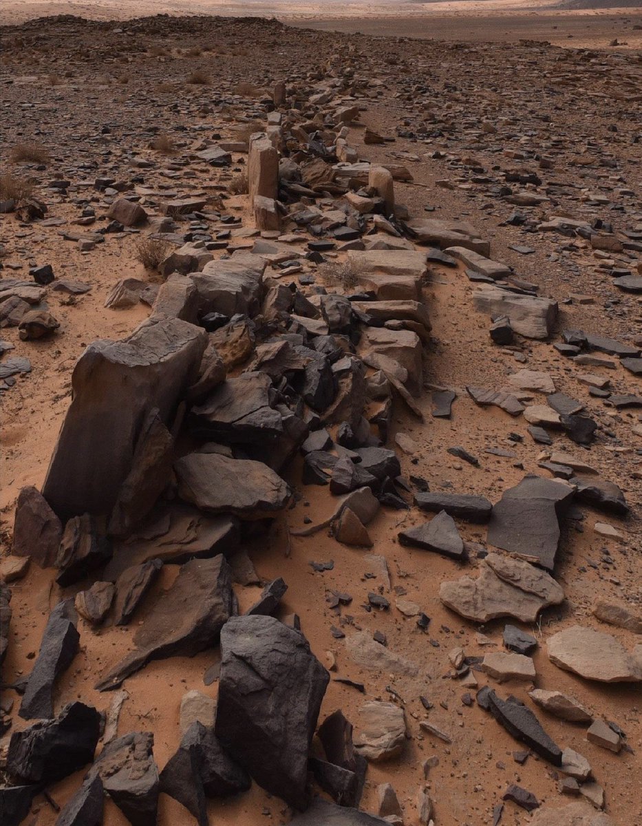 تـسـار tweet media