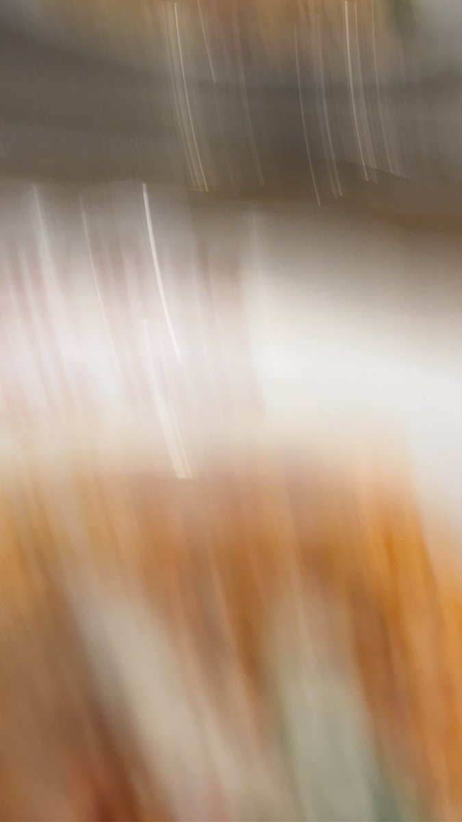 もみいか@VRC tweet media