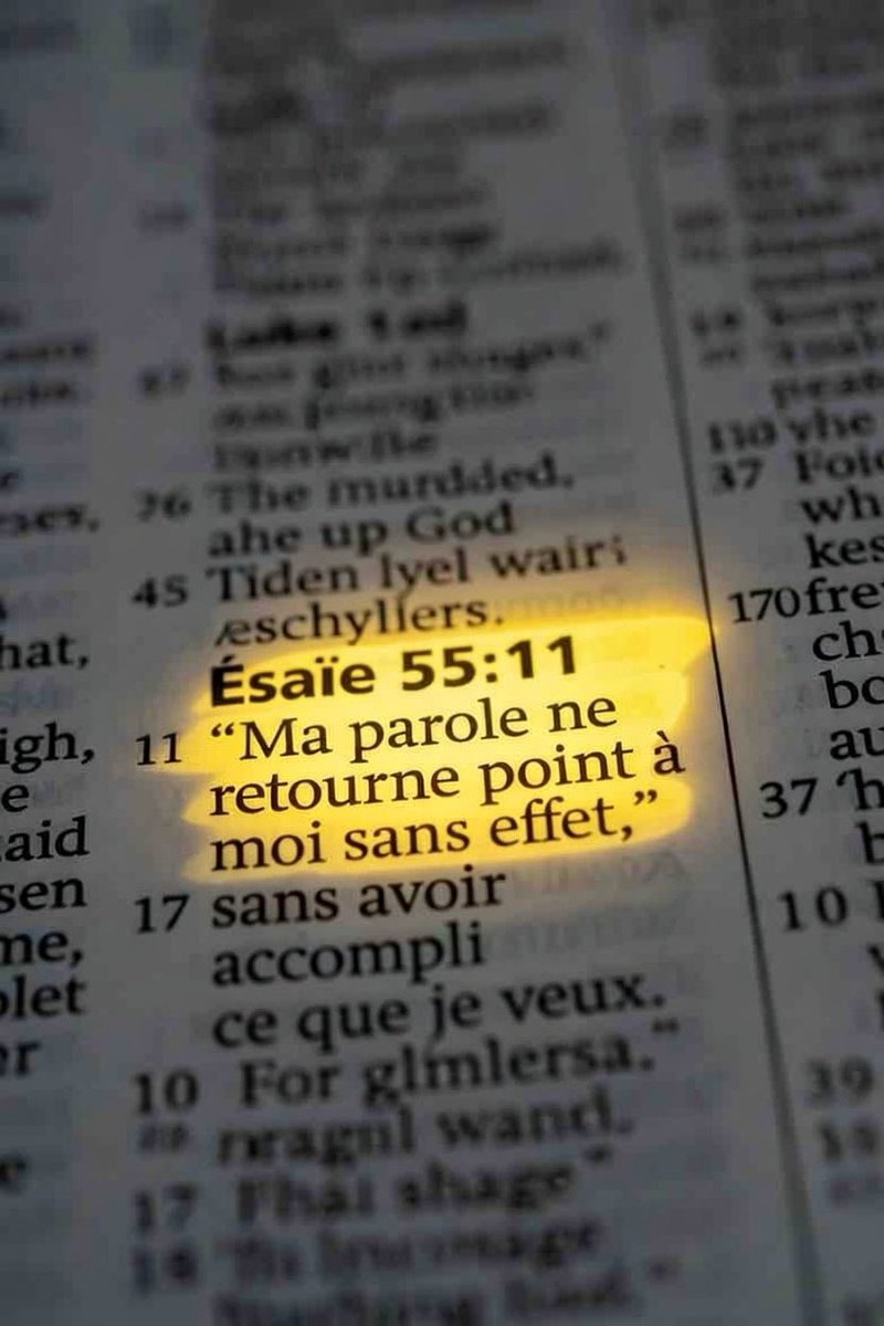 La Saine Doctrine tweet media