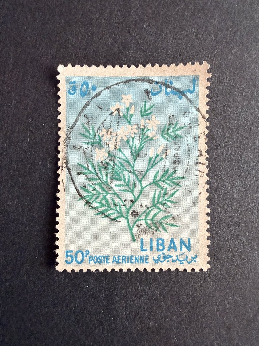 Philatelovely's tweet image. HeLLo you LoveLy Lot of peopLe. It’s the Letter L today in the a-z of Flowers on Stamps. Here’s my Lone choice, please share yours too.

Lebanon 🇱🇧 

#stampcollecting #philately #stamps