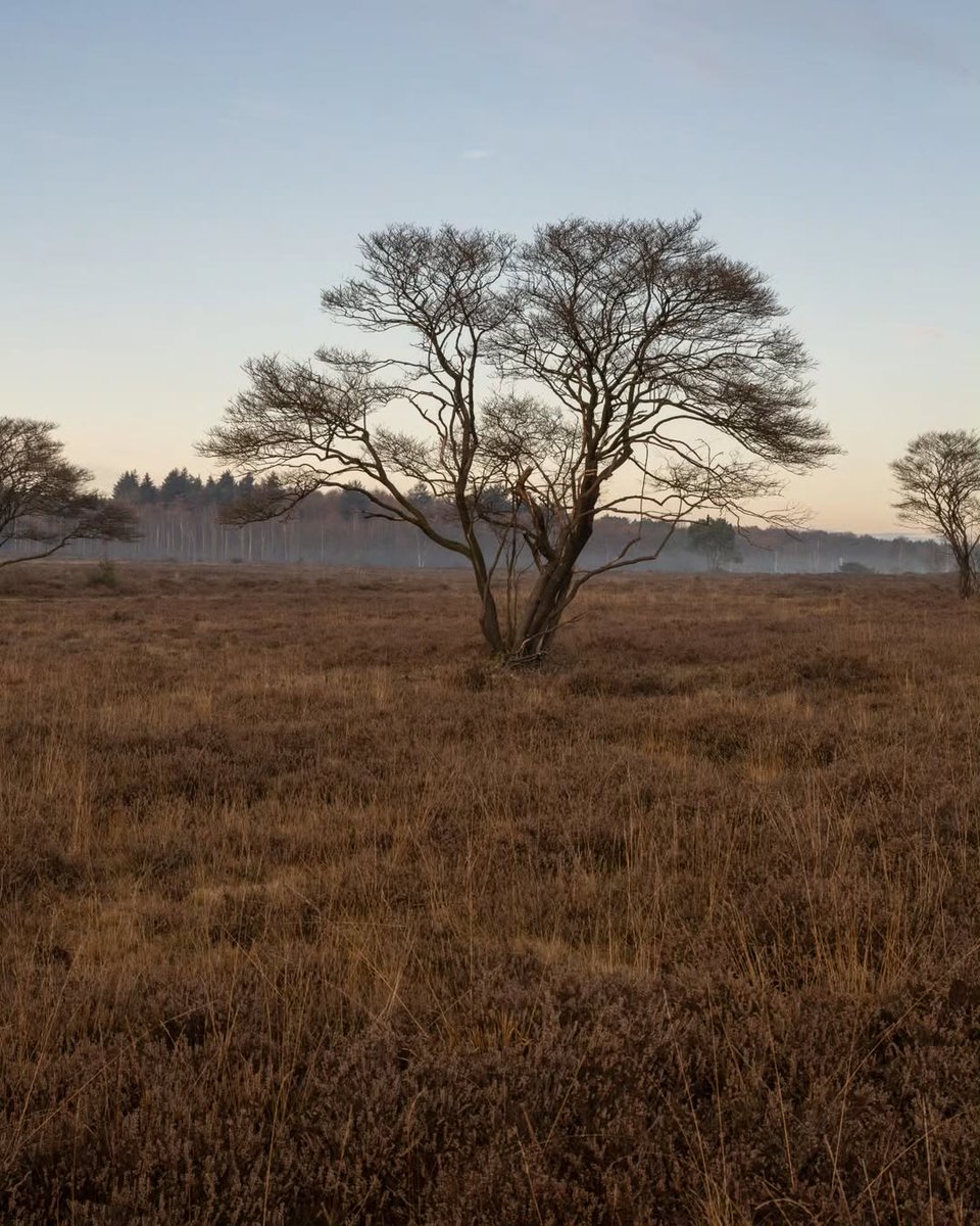 Eldritch Horror(In A Fun Way) tweet media