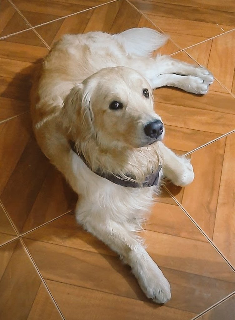 Alex... 🦋🎶 tweet media