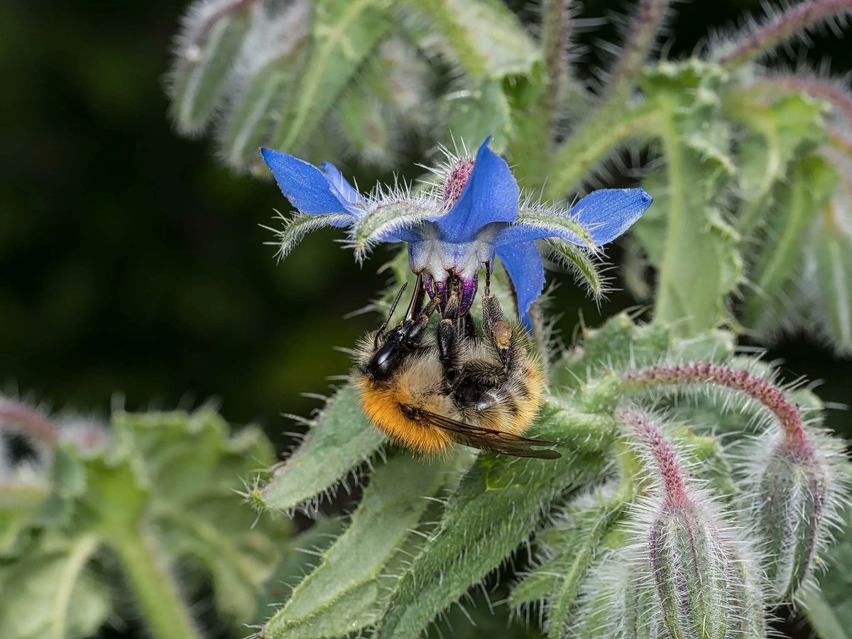 Give A Shit About Nature tweet media