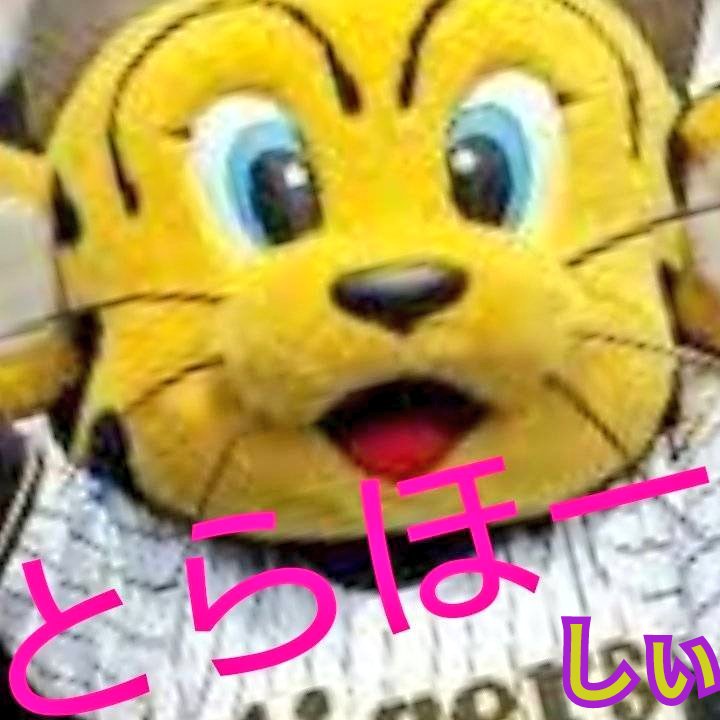 よっしぃ🐯♿🇯🇵(•ө•)♡ tweet media