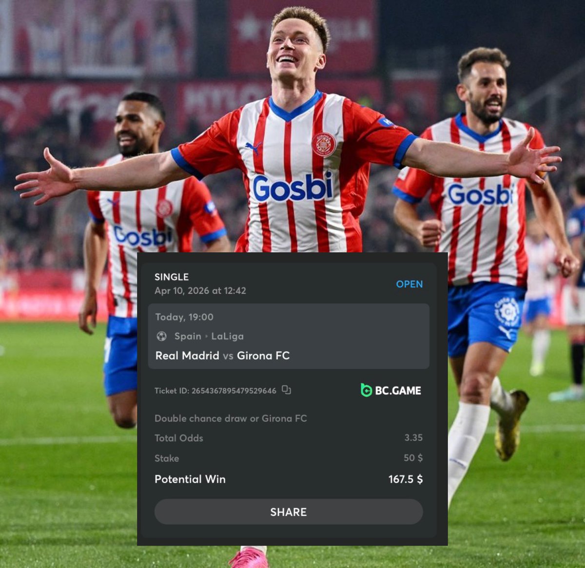 Berneese tweet media