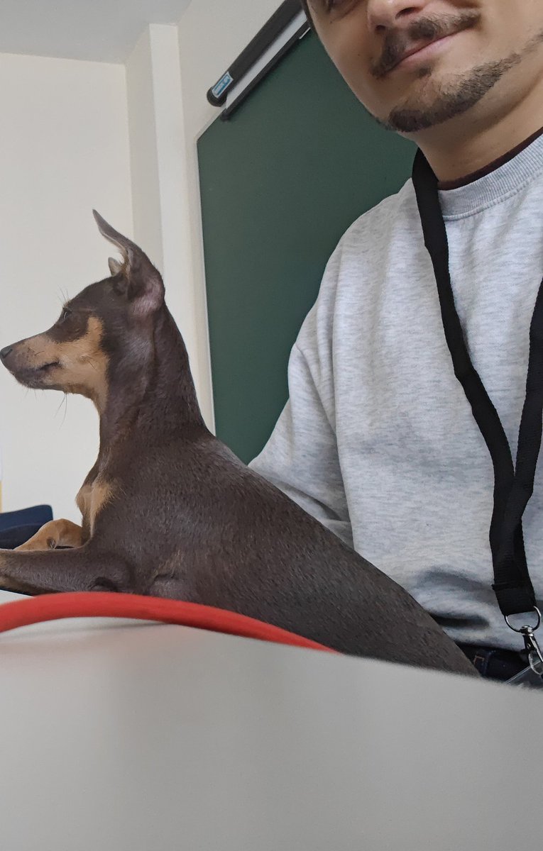 El becario que han mandado a mi trabajo hoy