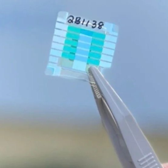 Kekius Maximus tweet media