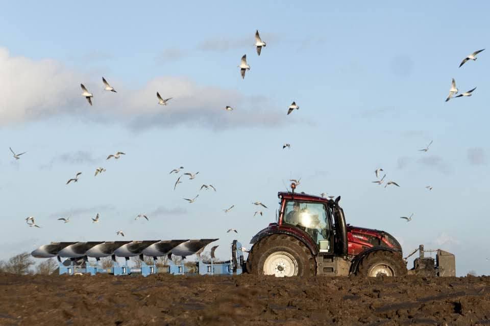 Wim den Oudsten tweet media